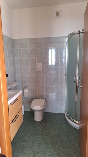 Shower, hair dryer, bidet, towels