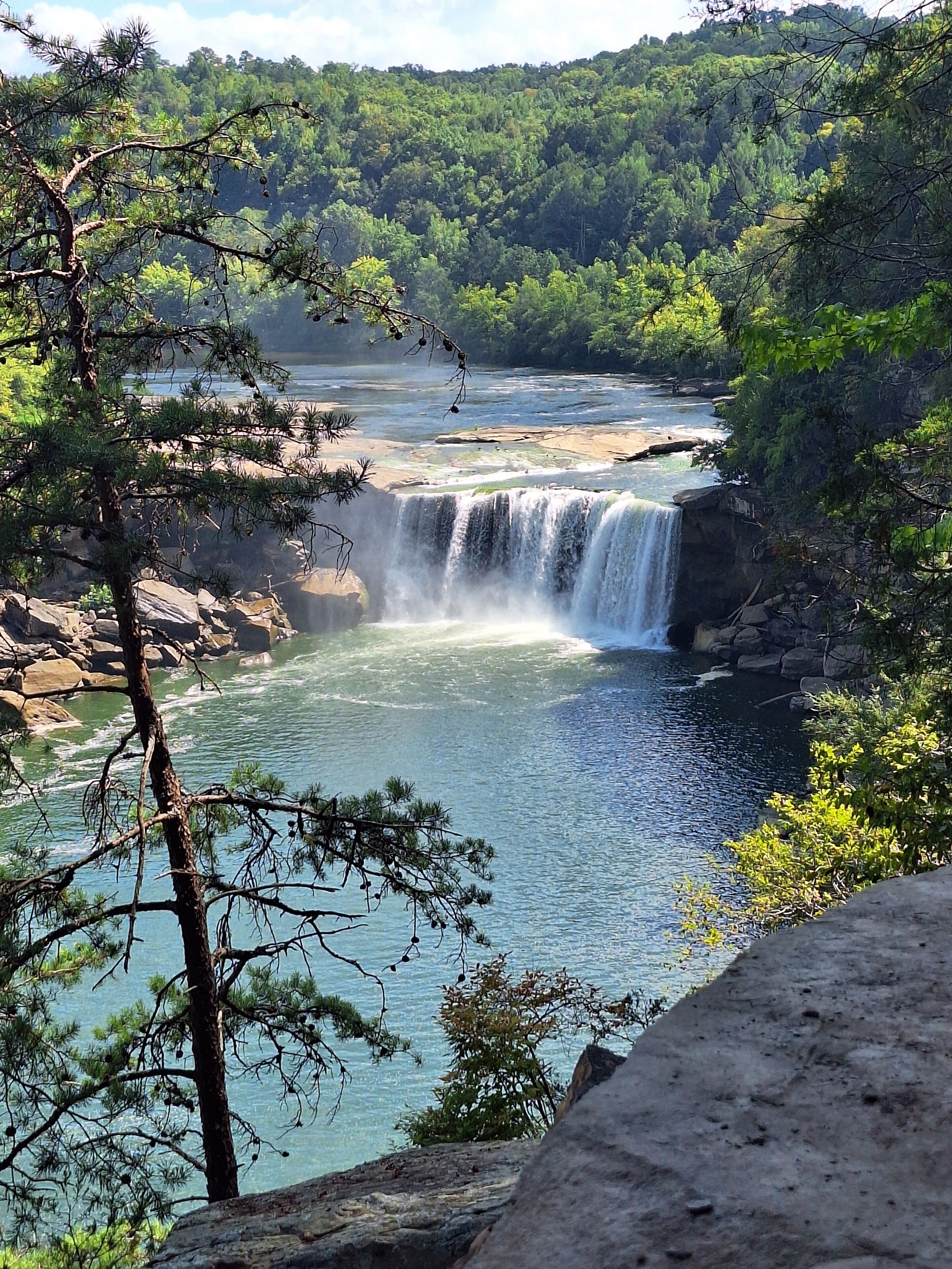 Una cascada que aboca l'aigua a un riu, envoltat de bosc dens.