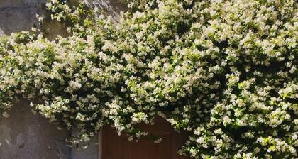 Charming apartment in the heart of the medieval village