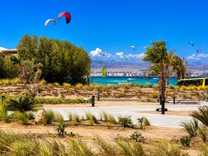 A coastal park with a paved walkway, palm trees, and a view of the sea and cityscape.