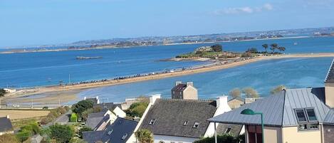 サンラウンジャー