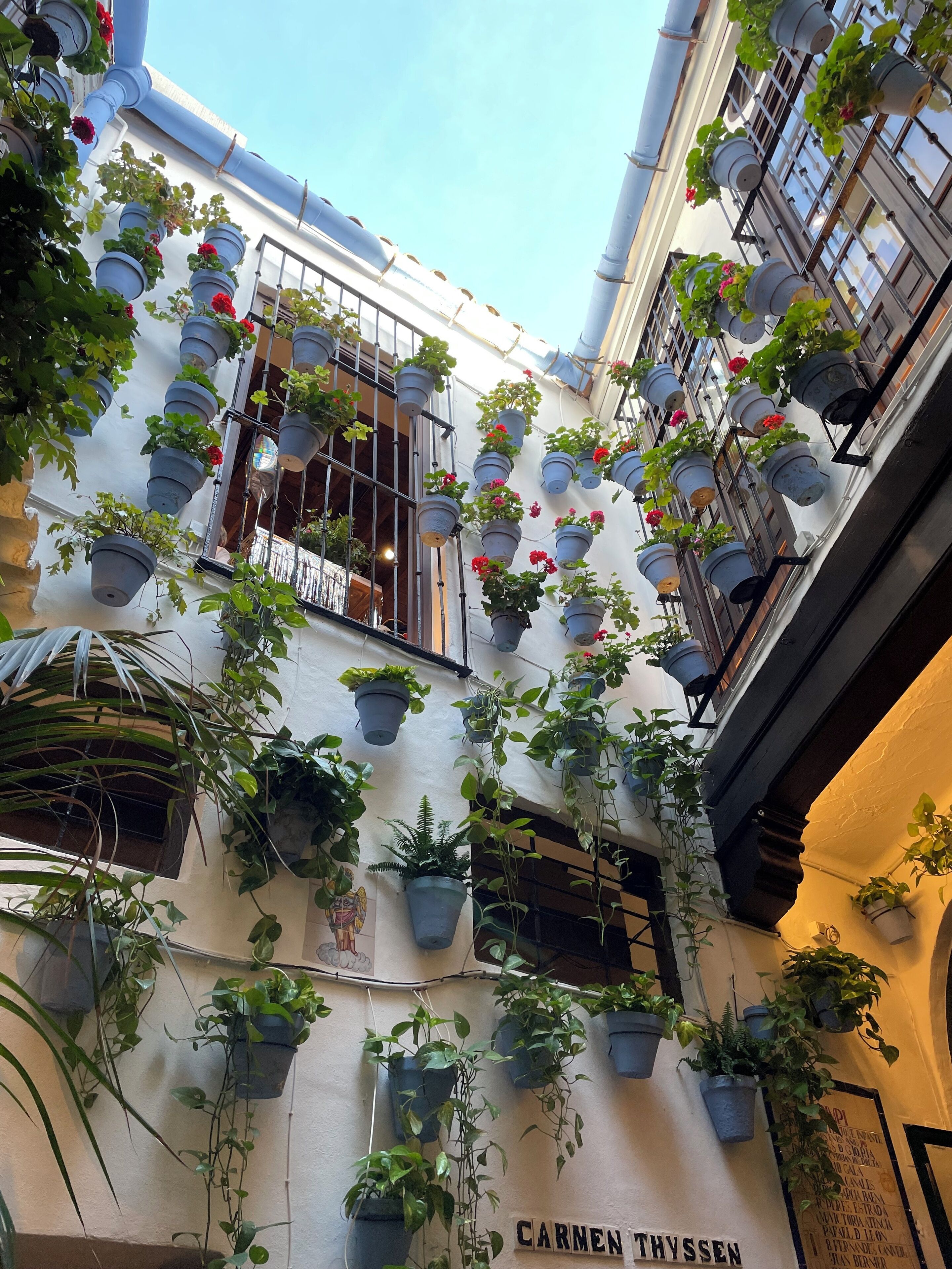 Malaga is a delight to explore and has a ton of wonderful restaurants.
