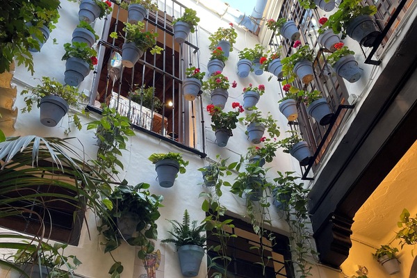 Malaga is a delight to explore and has a ton of wonderful restaurants.