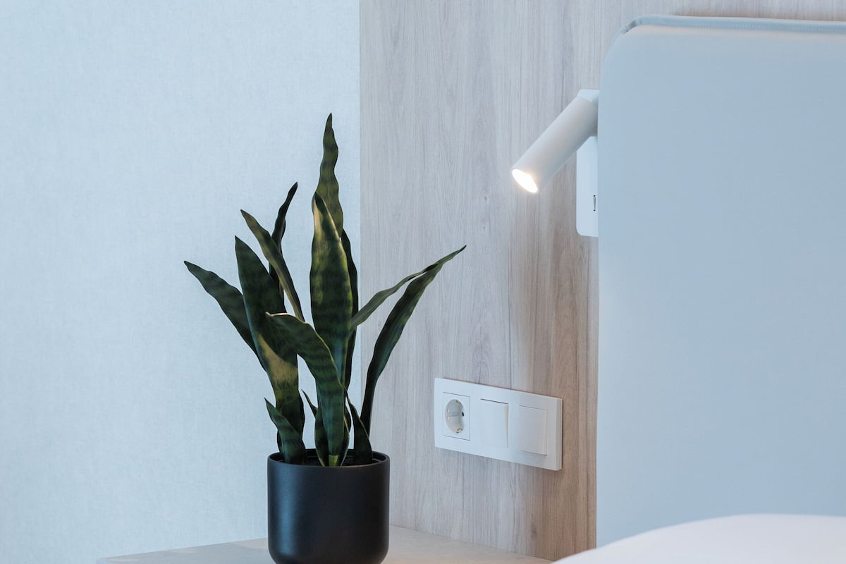 Une chambre moderne avec un lit, une table de chevet ornée d’une plante en pot et un luminaire fixé au mur.