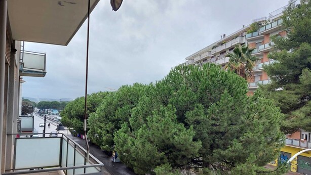 Un balcone con vista su una strada alberata, un edificio a più piani e veicoli parcheggiati.