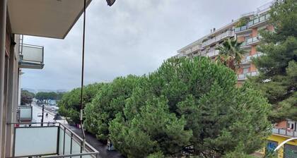 Large apartment very central