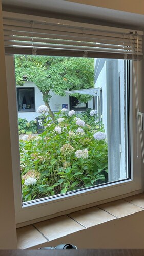 OASE im grünen Hinterhof (M), EG,Ruhe, Carport, Pay-TV, Kaffee&Tee,Fahrräder
