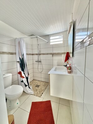 Shower, hair dryer, towels, soap