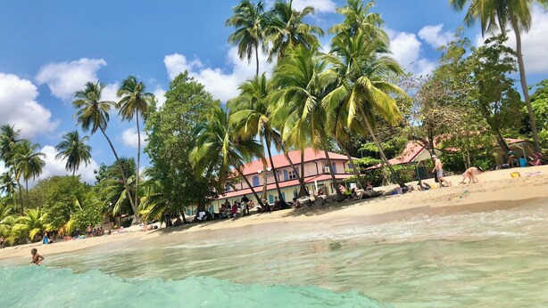 Una playa con palmeras, un edificio de techo rojo y agua turquesa cristalina.