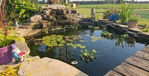 Jardines del alojamiento