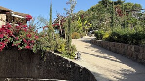 A narrow, stone-walled path leading to a traditional stone building with a thatched roof, surrounded by lush greenery and flowering plants. - Hilltop Lodge - Lalibela  (Lalibela)