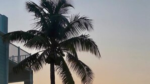 A sunset view with a palm tree and a building. - Tranquility Bayview House-Ocean Front with pool, boat basin and boat ramp (Little Torch Key)