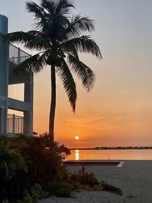 Property grounds - Tranquility Bayview House-Ocean Front with boat basin and boat ramp (Little Torch Key)
