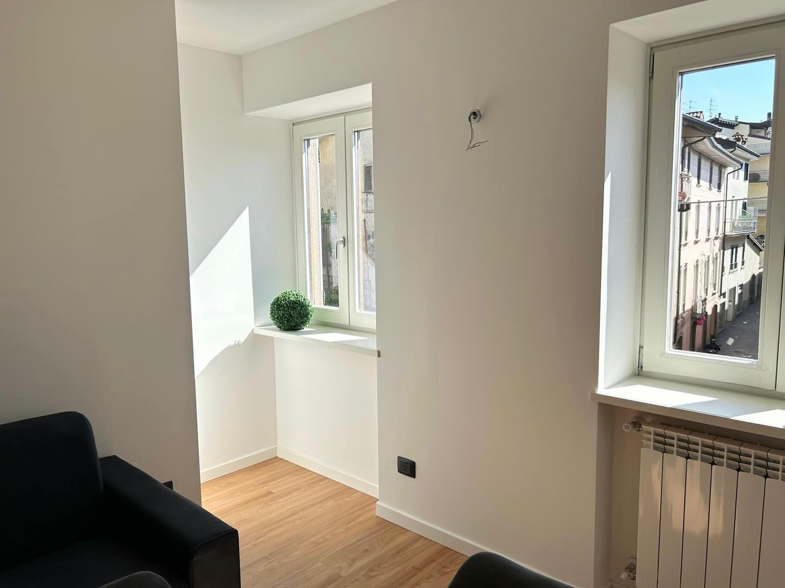 Een lichte kamer met een houten vloer, een zwarte stoel, een klein groen plantje op een raamdrempel en een radiator.