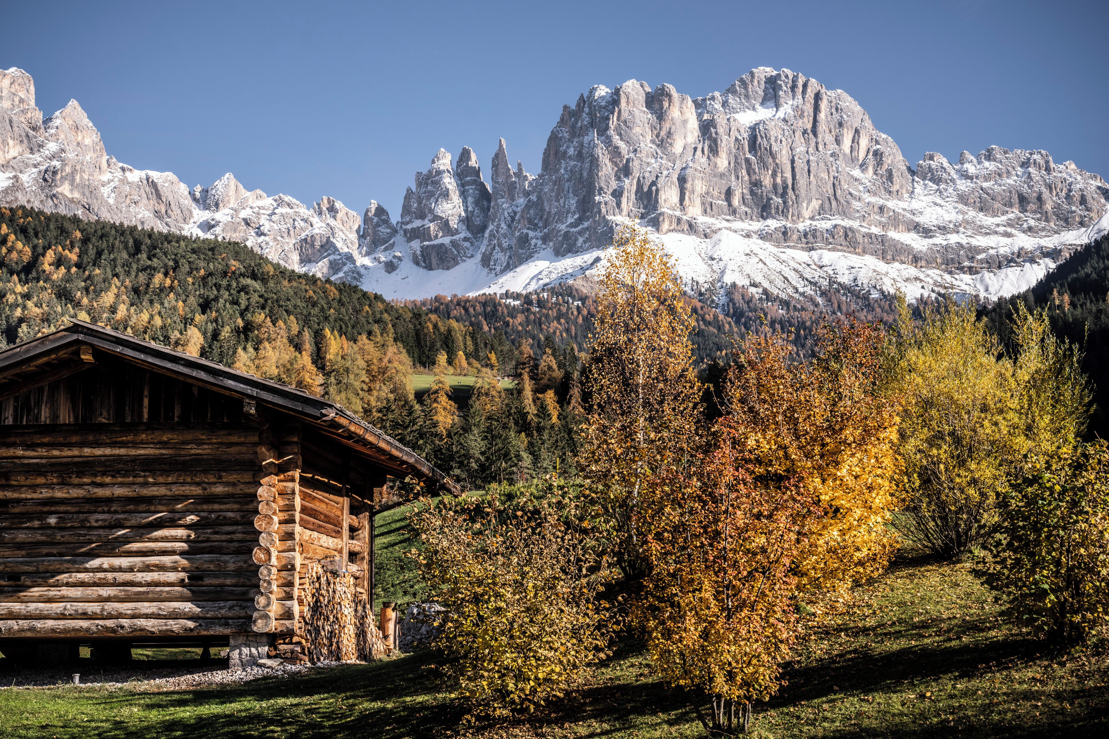 Eine Blockhütte mit Blick auf schneebedeckte Berge und Herbstlaub.
