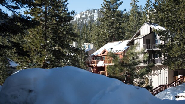 A multi-story lodge with a snow-covered roof, surrounded by dense evergreen trees. - Tahoe Trail (Stateline)