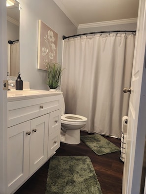 Hair dryer, towels, soap, toilet paper