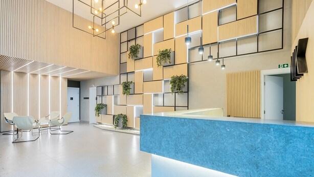 Una zona de recepción moderna con un mostrador azul, paneles de madera y plantas colgantes.