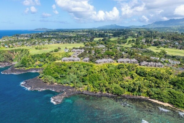 An aerial view of a coastal residential area with houses, lush greenery, and clear blue waters.