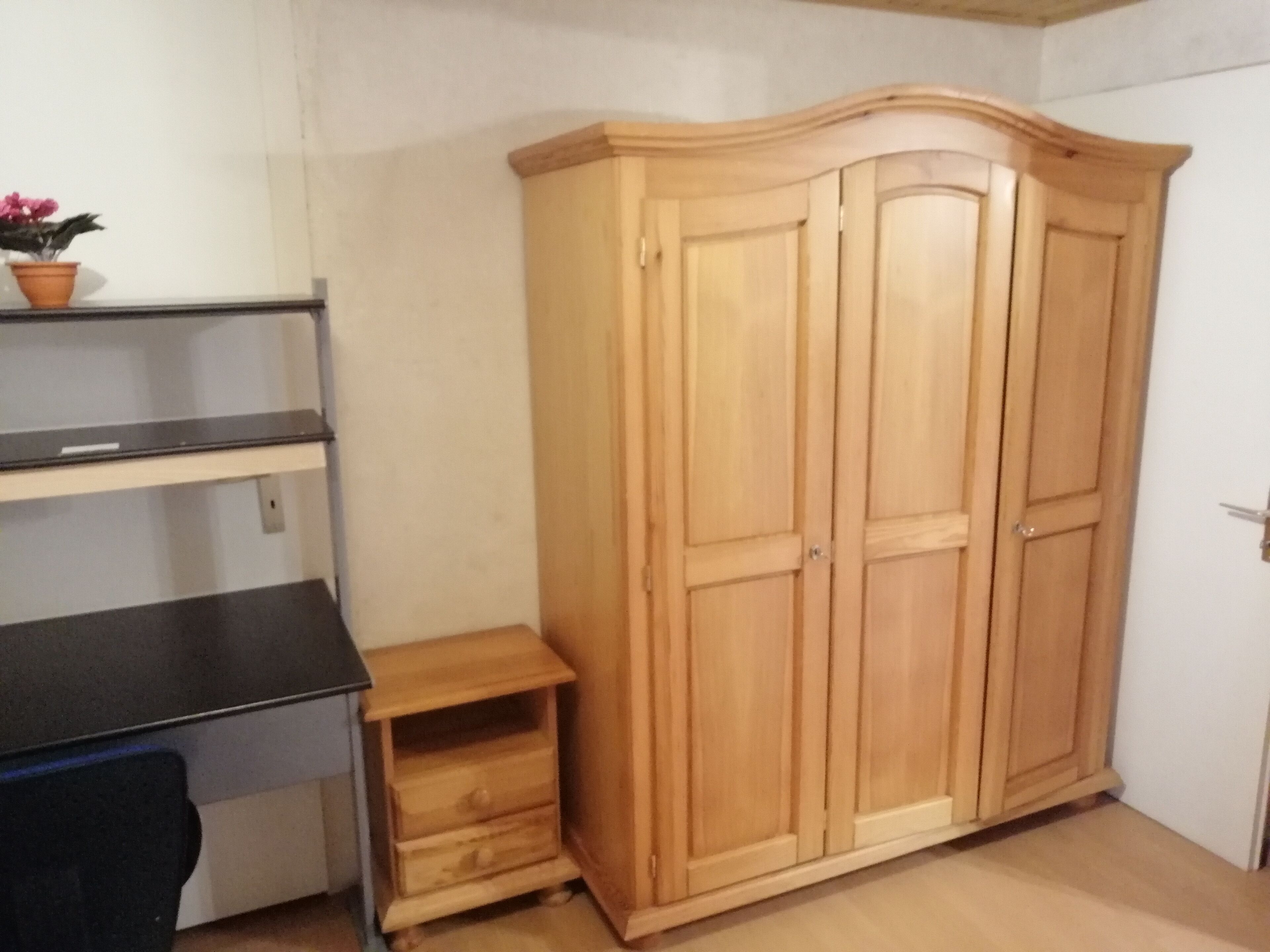 A room with a wooden wardrobe, a small wooden shelf, and a potted plant on a shelf.