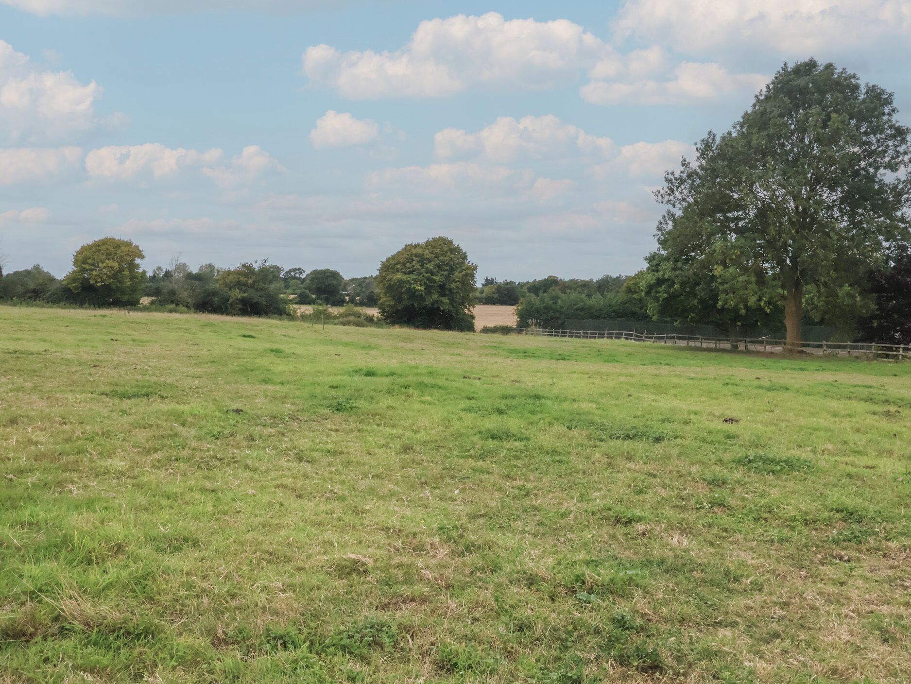 A grassy field with trees and a fence in the background.