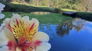 Un gros plan d’une fleur, avec une étendue d’eau en arrière-plan.