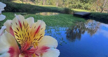 Cosy Getaway in Raw Nature