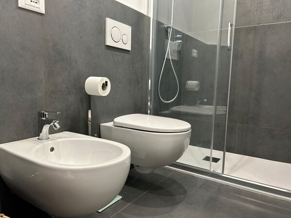 Shower, hair dryer, bidet, towels