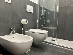Shower, hair dryer, bidet, towels