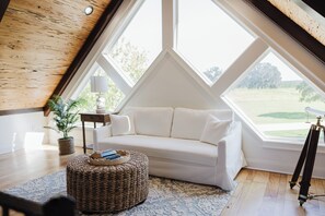 Smart TV, chimenea, libros
