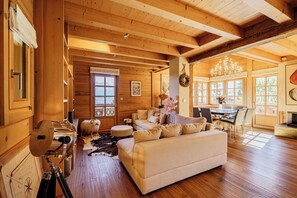 TV, fireplace, books