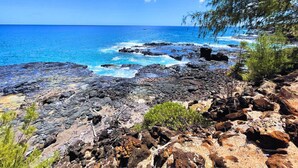 Costa rochosa com águas azul-claras e vegetação rasteira.