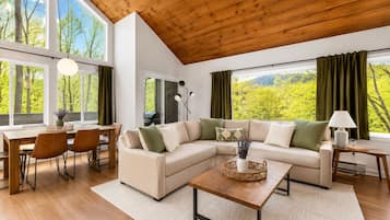 Smart-TV, Kamin