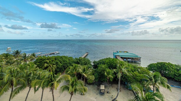 A beach view with a boat dock, palm trees, and a building with a green roof. - Hibisco Belize (San Pedro)