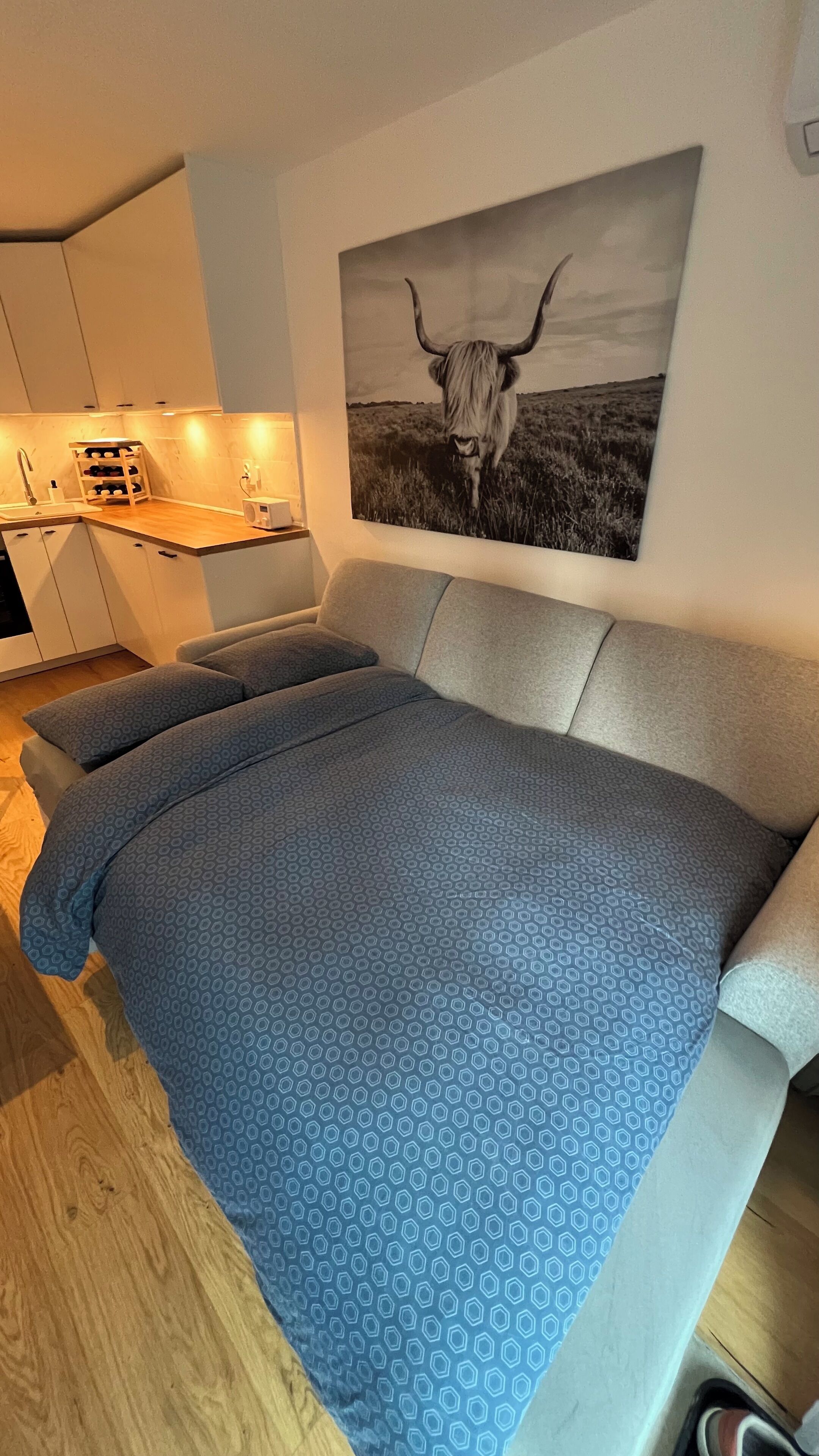 1 多间卧室、熨斗/熨衣板、免费 WiFi、床单