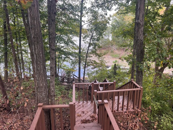 A wooden staircase leading to a viewing platform surrounded by trees.