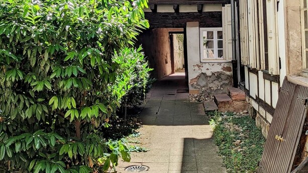 Un estrecho callejón entre edificios con mezcla de piedra y entramado de madera, un pequeño jardín con plantas en macetas y una puerta visible que da a un patio.