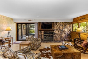 Televisión, chimenea y libros 