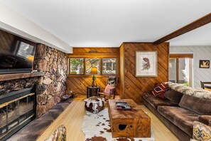 Televisión, chimenea y libros 