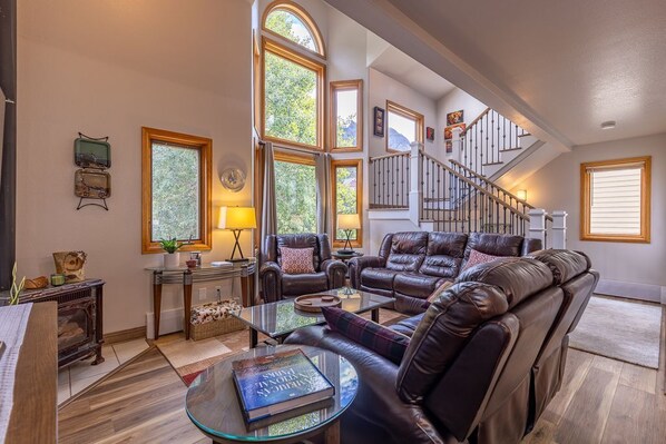 TV, fireplace, books