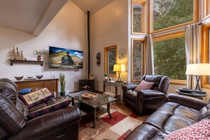 TV, fireplace, books