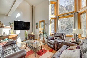 TV, fireplace, books