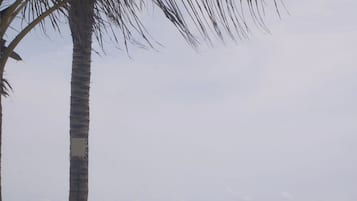 On the beach, white sand