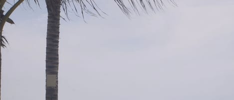 On the beach, white sand