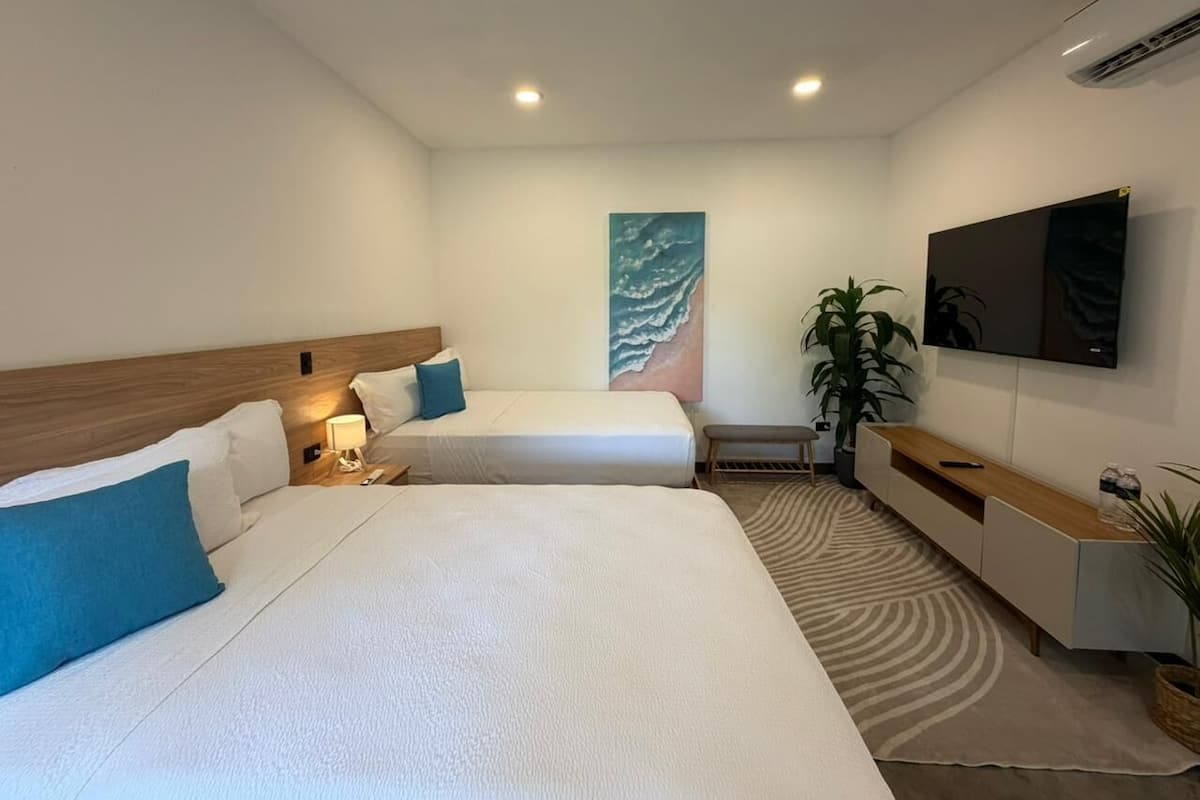 Habitació d'hotel amb dos llits, una televisió, una planta i un quadre a la paret.