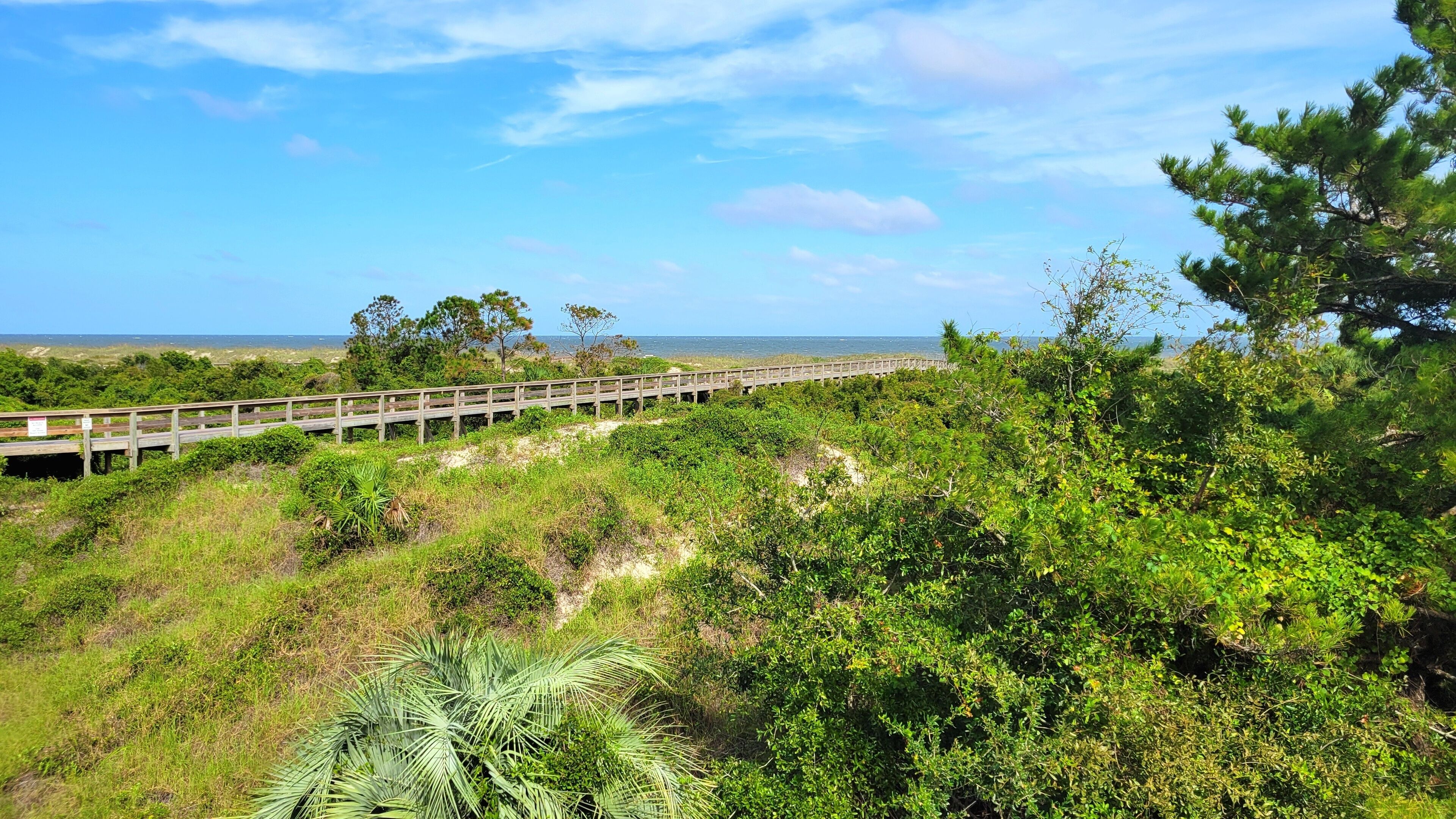 A wooden boardwalk extending over a grassy area with dense vegetation and trees, leading towards a distant shoreline.
