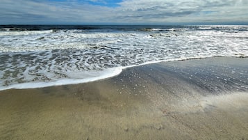 House (Lower - Pets) | Property amenity