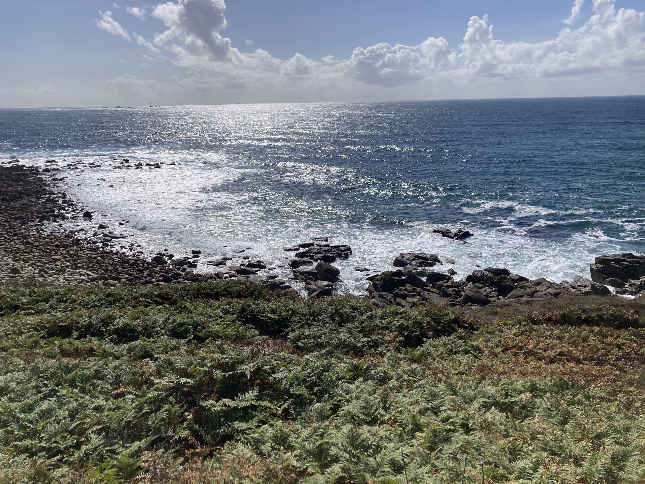 A coastal landscape with rocky terrain and ferns.