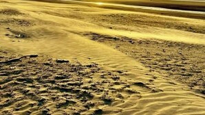 Une plage au coucher du soleil, avec des dunes de sable et quelques personnes au loin.