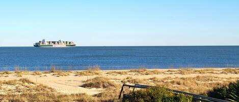 A coastal landscape with a sandy beach, sparse vegetation, and a wooden fence.